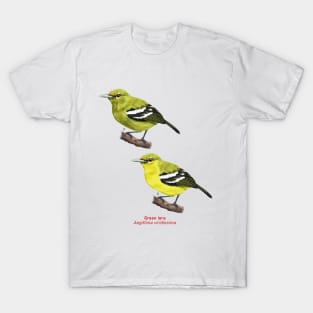 Green iora | Aegithina viridissima ⚥ T-Shirt